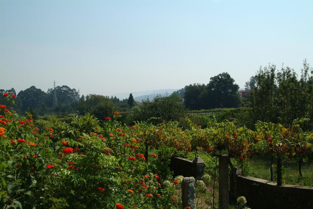 维亚纳堡 Quinta Do Vale Do Monte旅馆 外观 照片